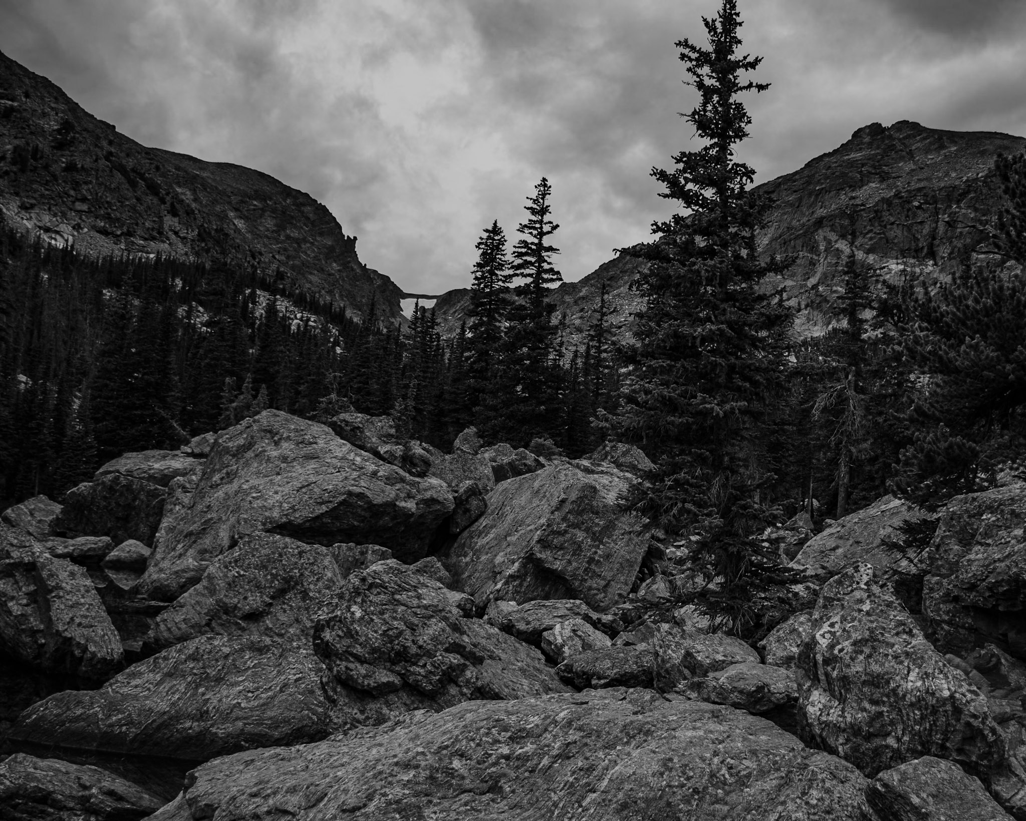 Black & White photograph