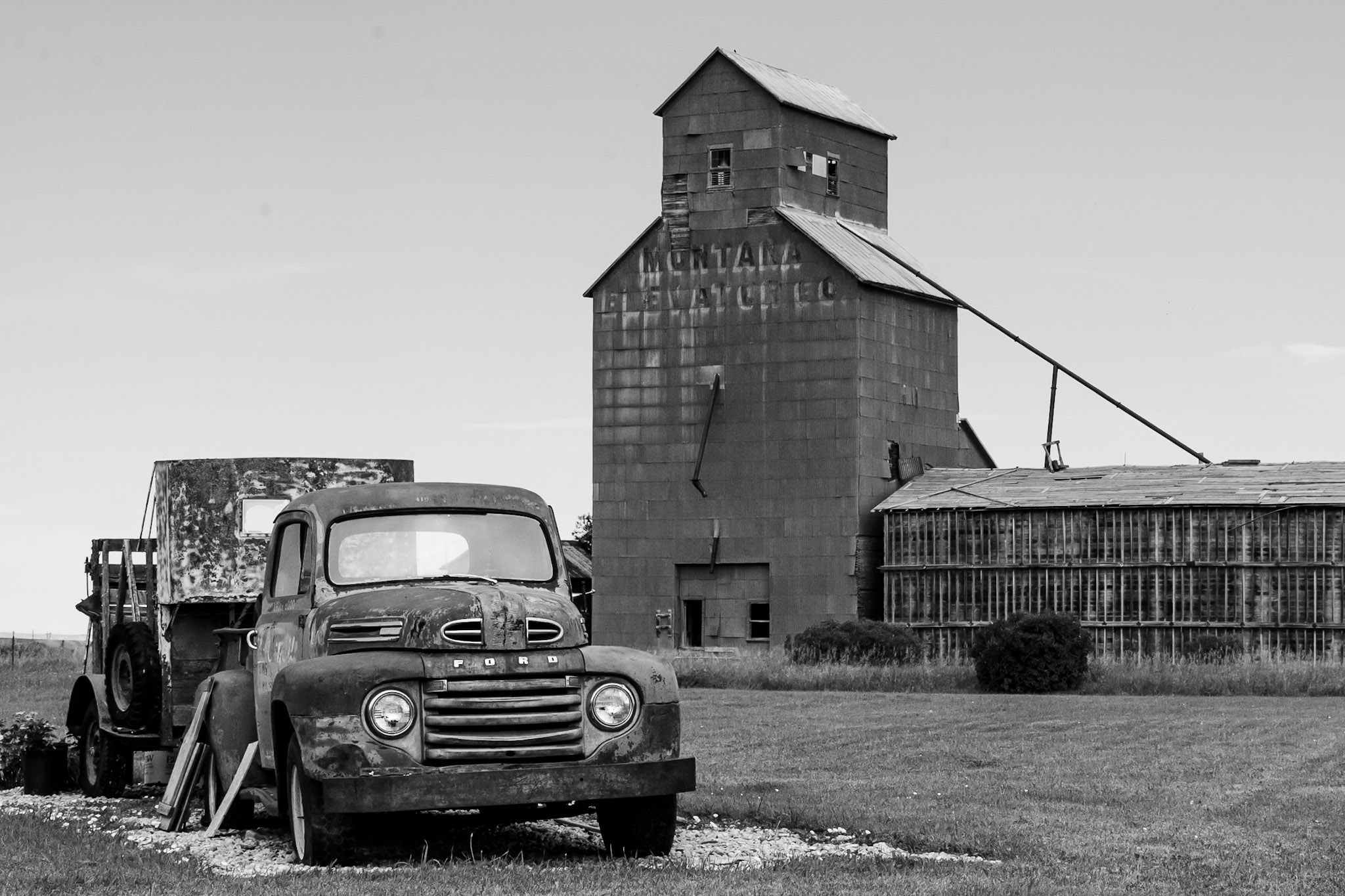 Black & White photograph