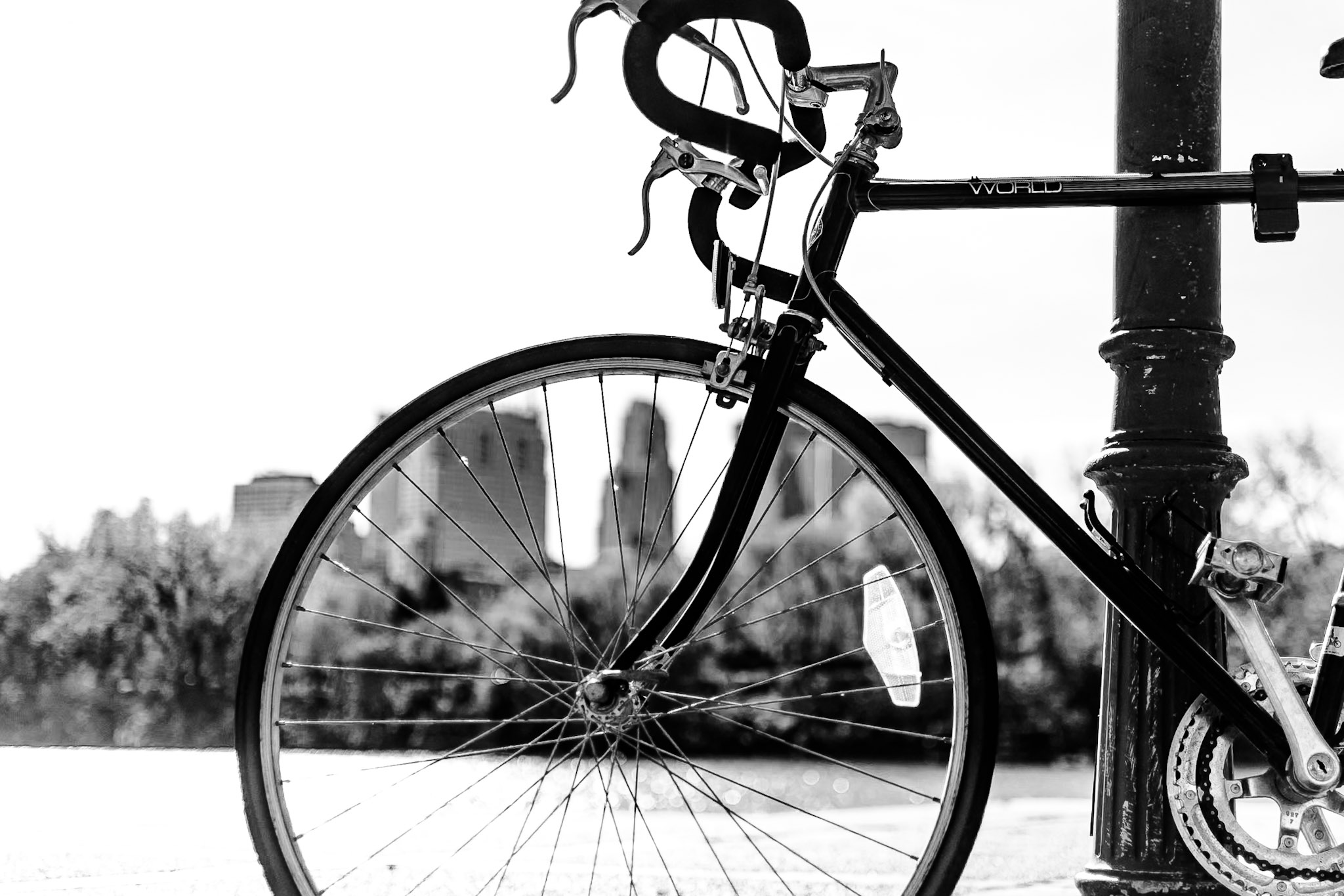 Black & White photograph