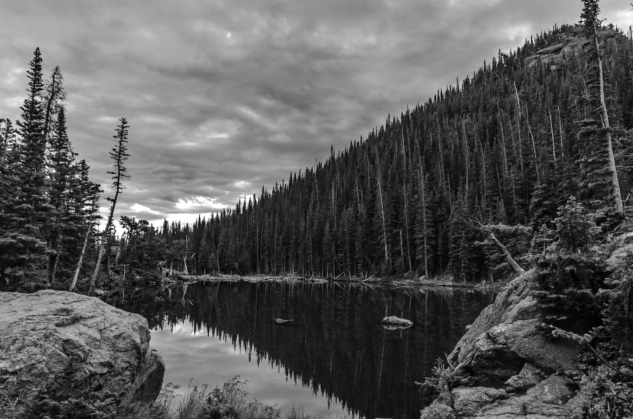 Black & White photograph