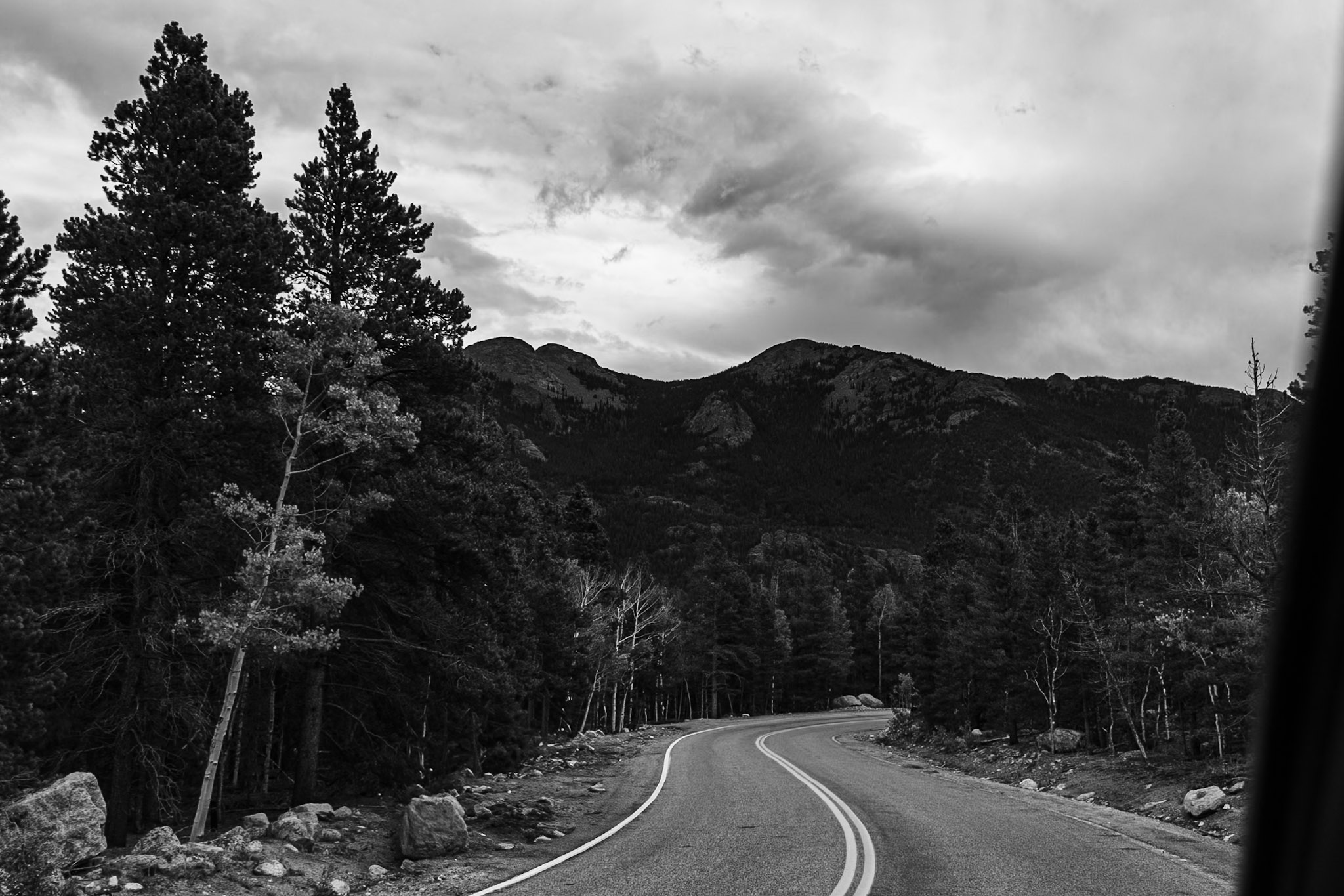 Black & White photograph