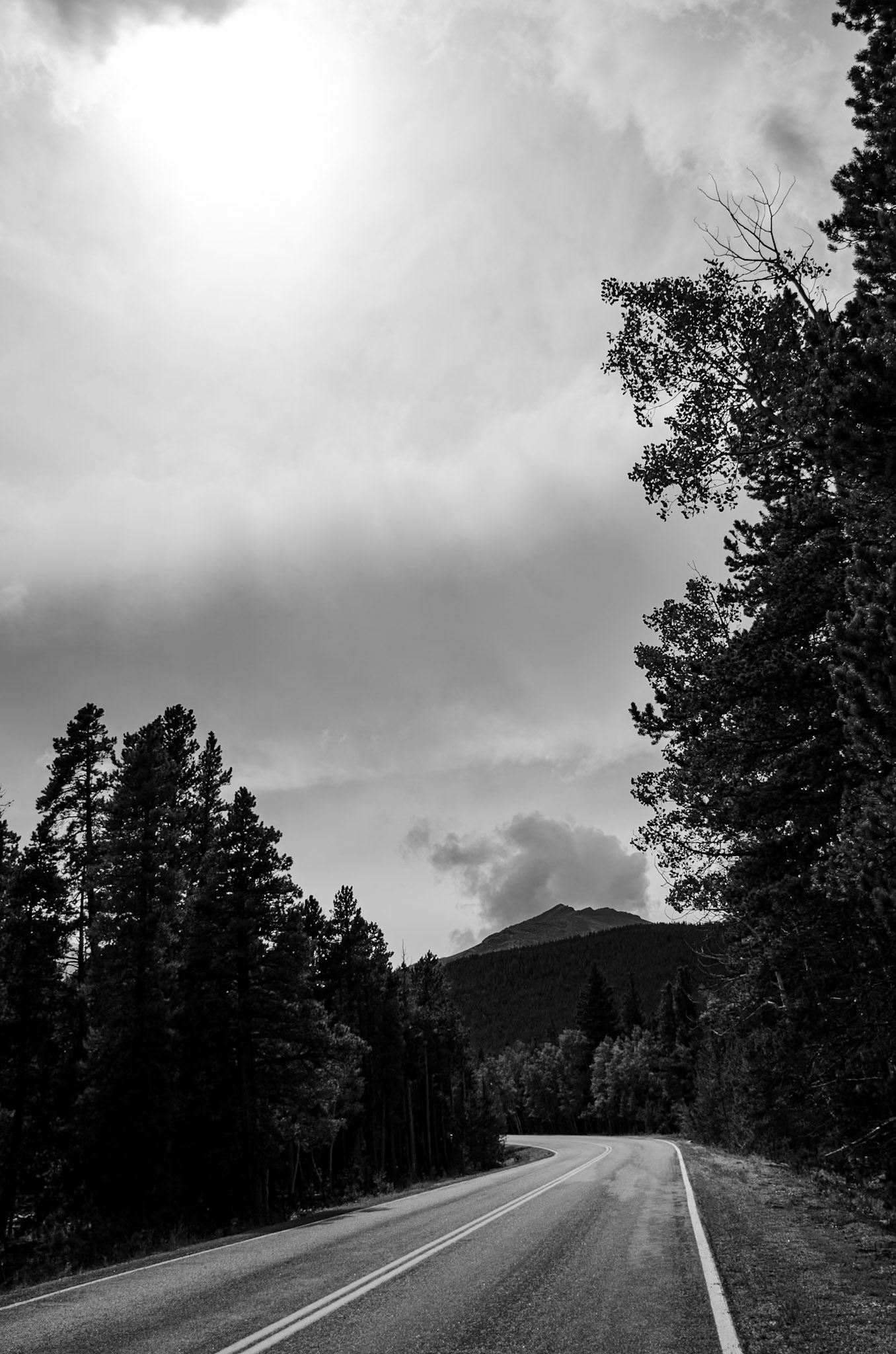 Black & White photograph