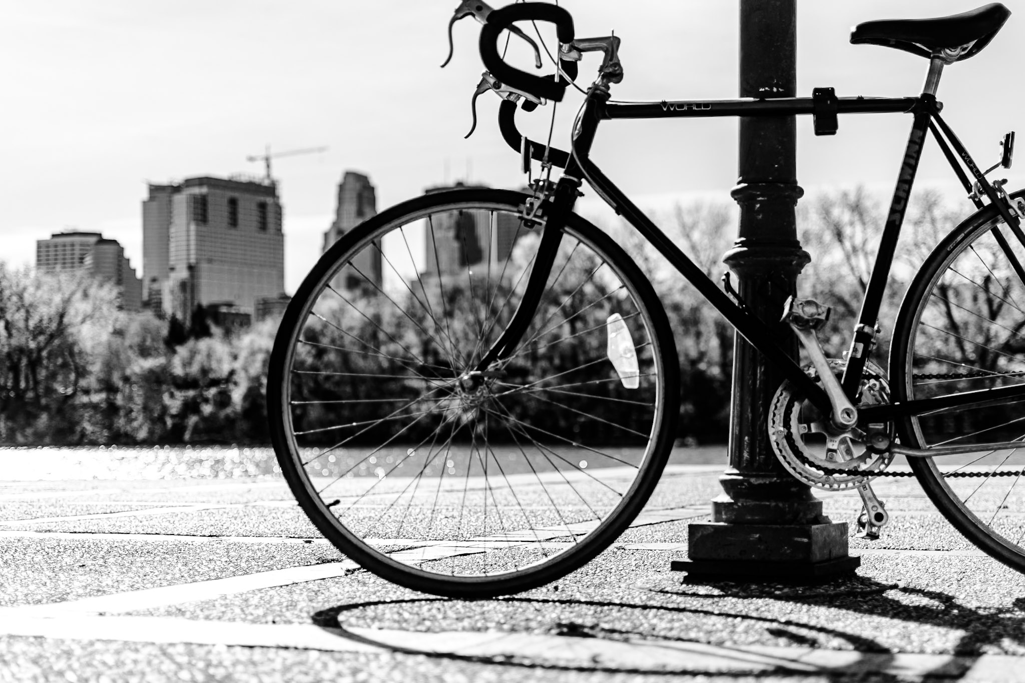 Black & White photograph