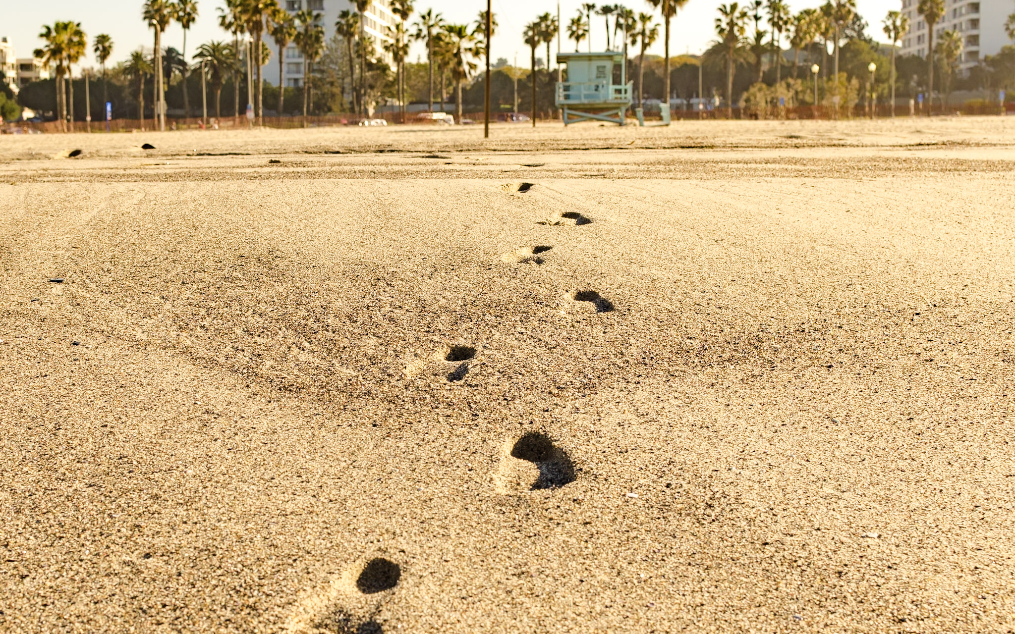 California photograph