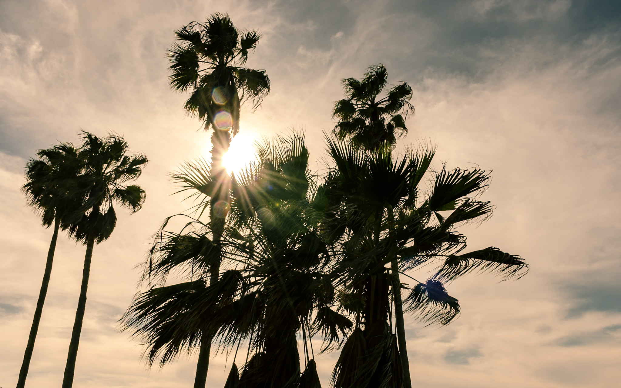 California photograph