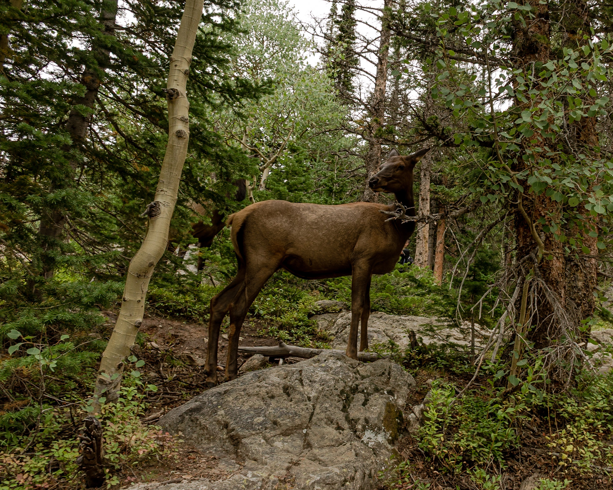 Colorado photograph