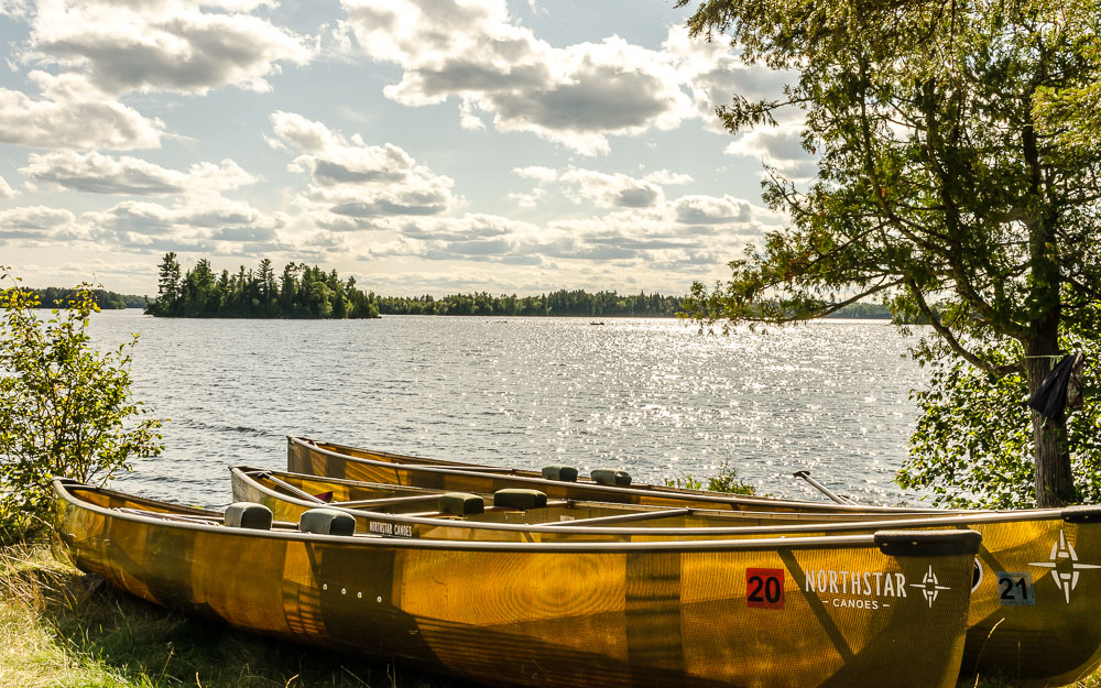 Boundary Waters forest reflection