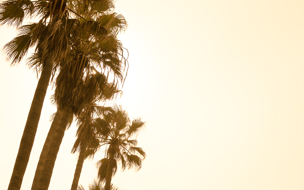 California desert vista